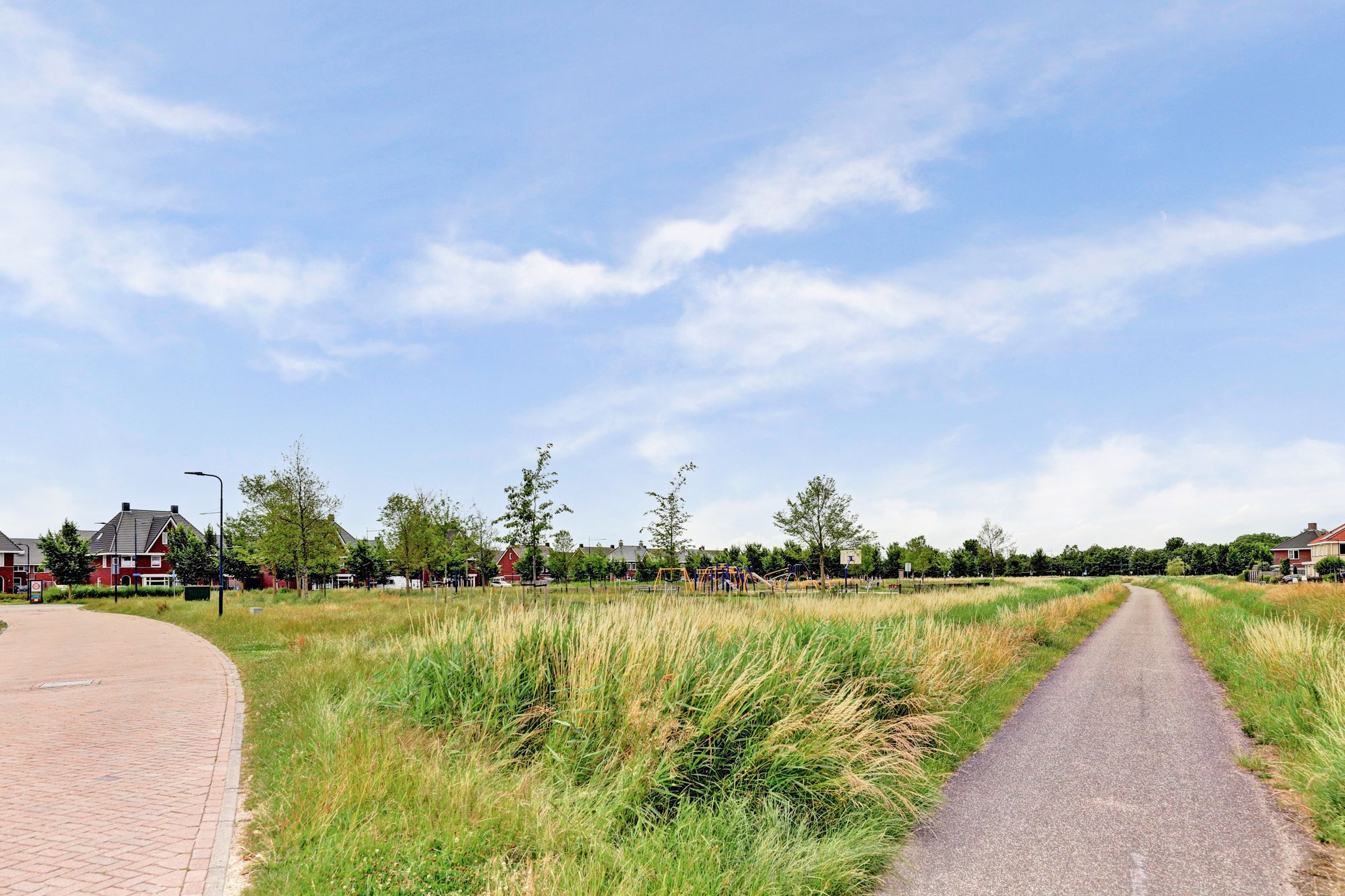 Photo 51 of Boontjes 111