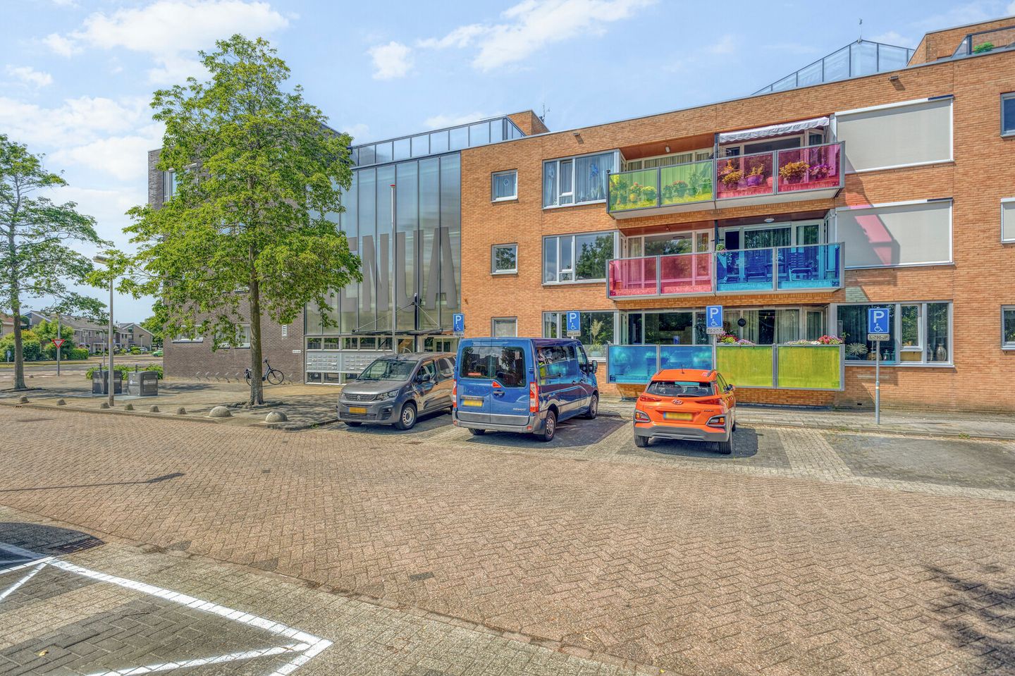 Foto 1 van Drooghe Bol 2016