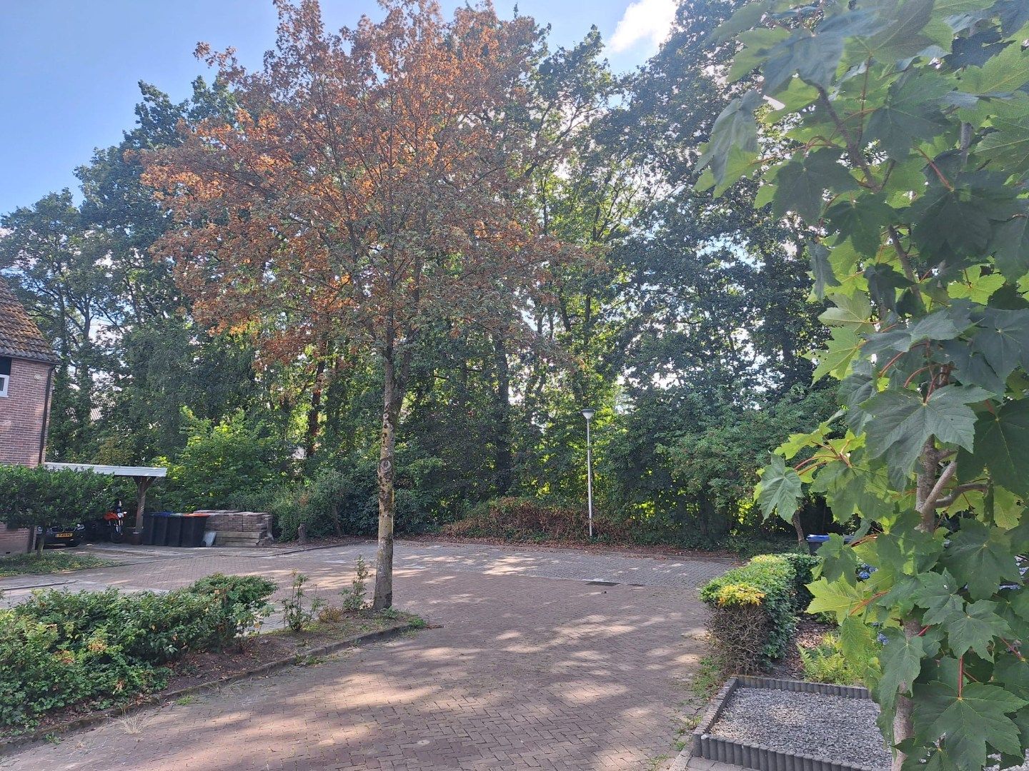 Foto 15 van Kruidenlaan 15