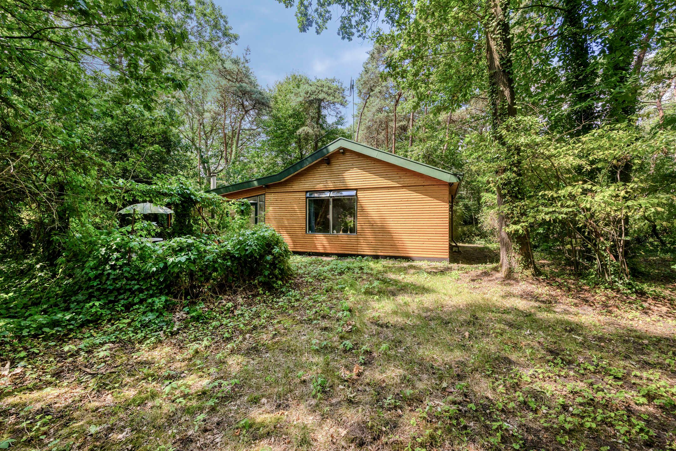 4-bedroom freehold villa in Holten — photo 1 of 5