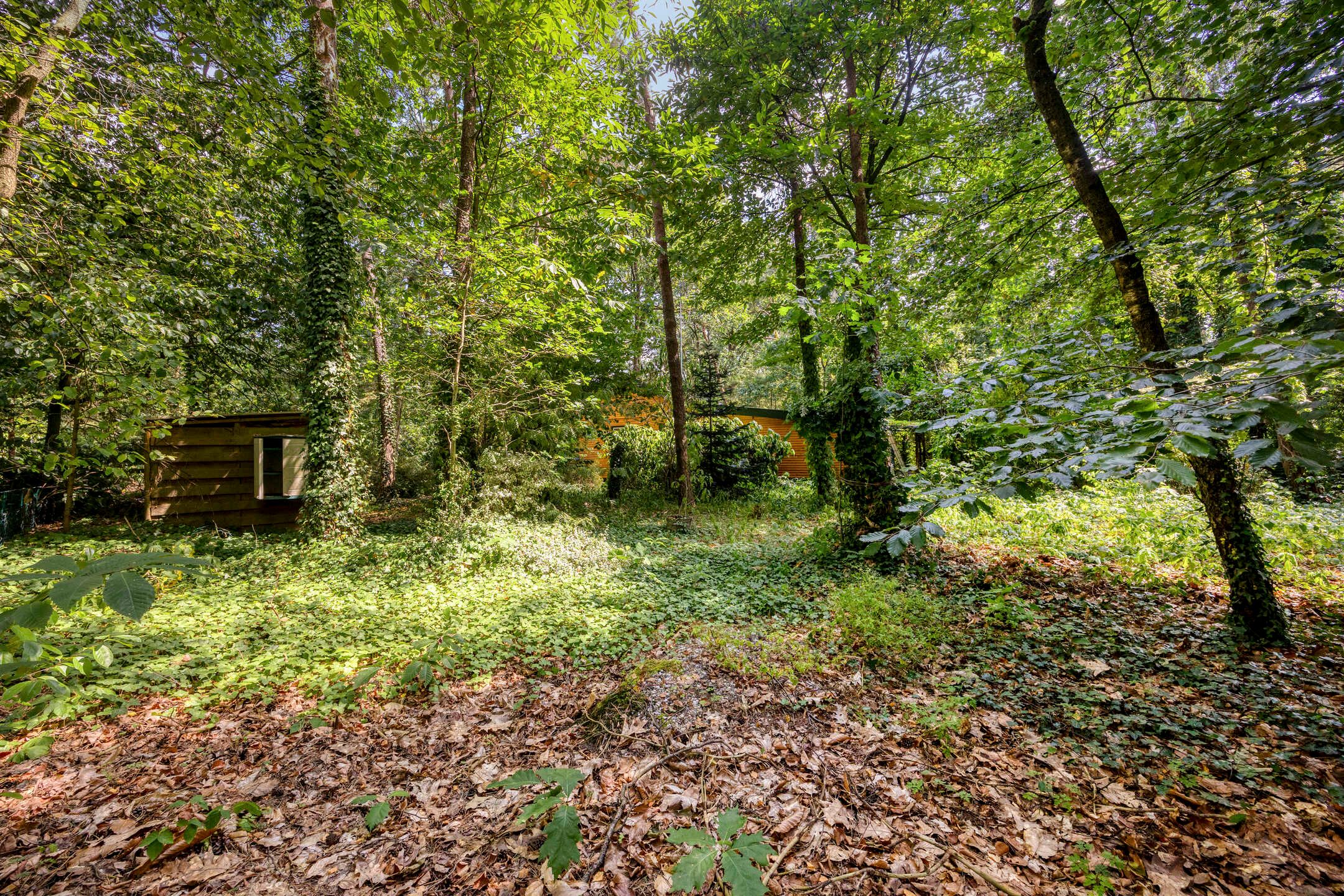 Photo 27 of Vianenweg 202