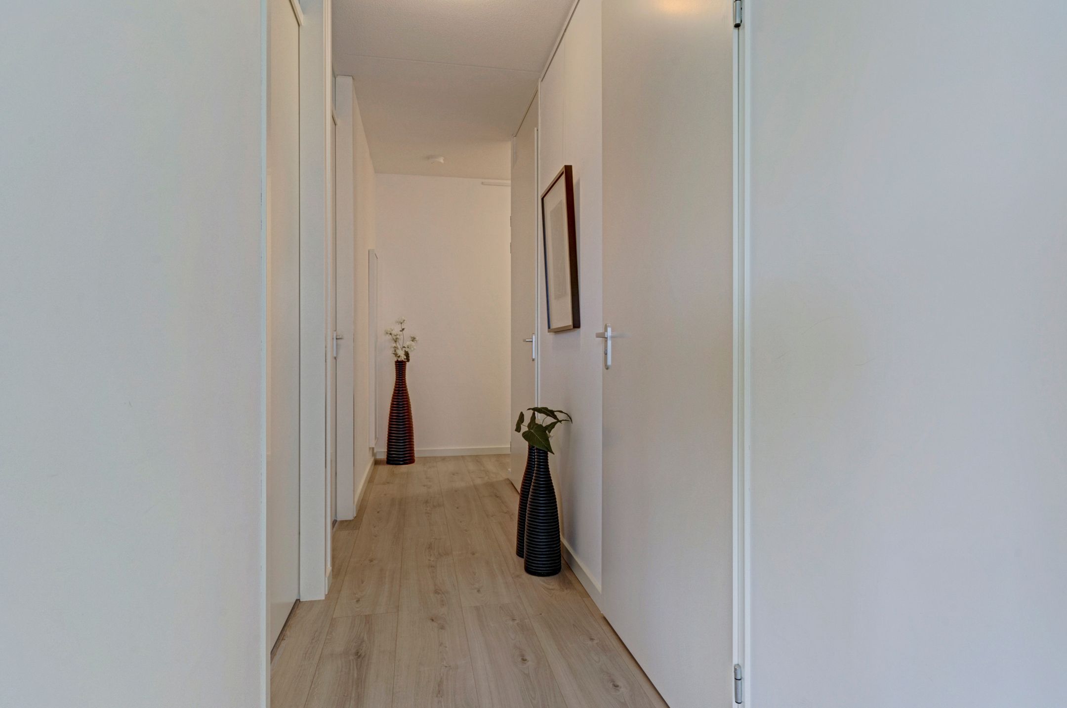 Foto 6 van Juno 109