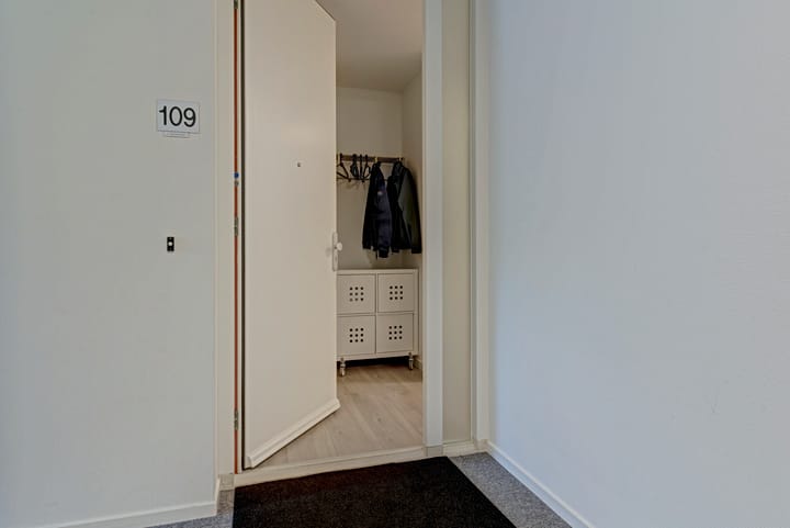 Appartement te koop: Juno 109, Elst (Ge)