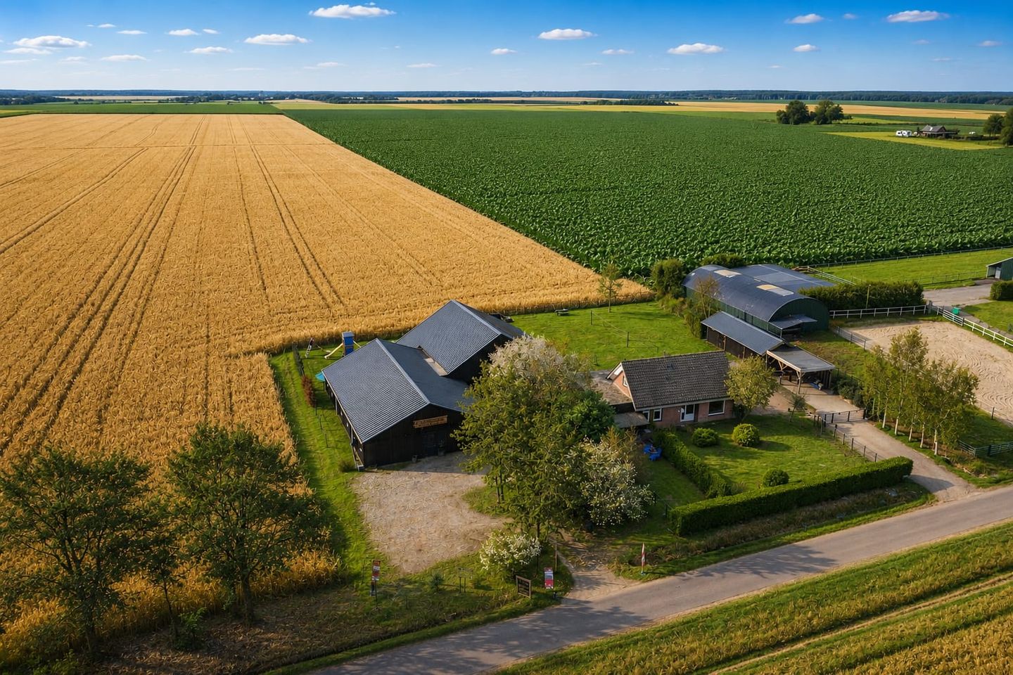 Bekijk foto 1 van Oude Wilhelmsweg 13