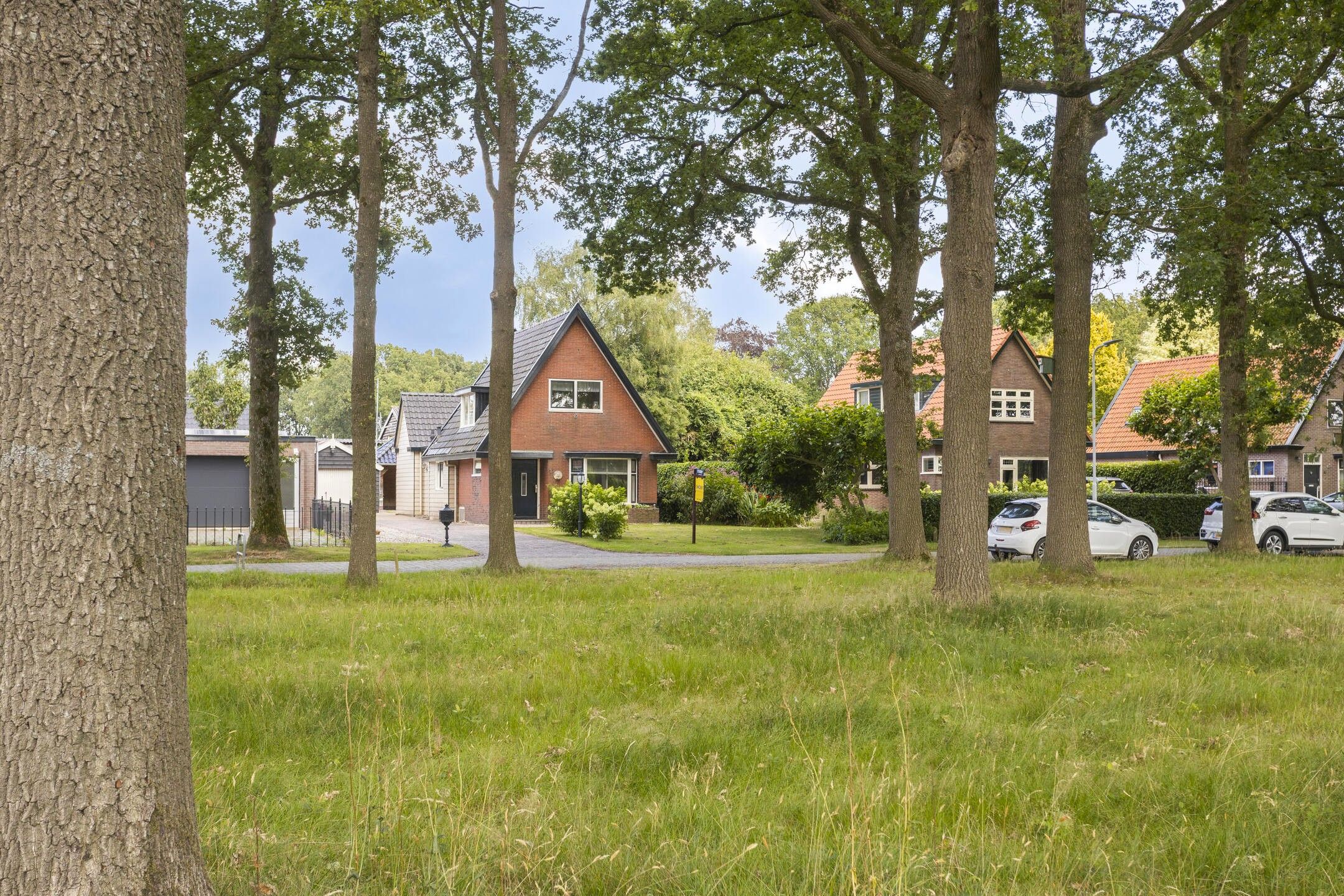 Photo 30 of Singel 1