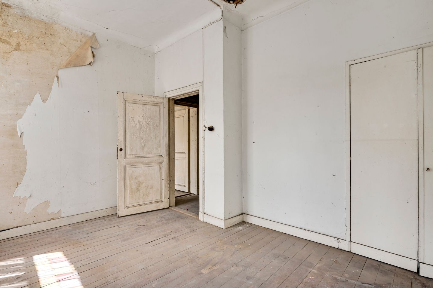 Photo 20 of Wal 1