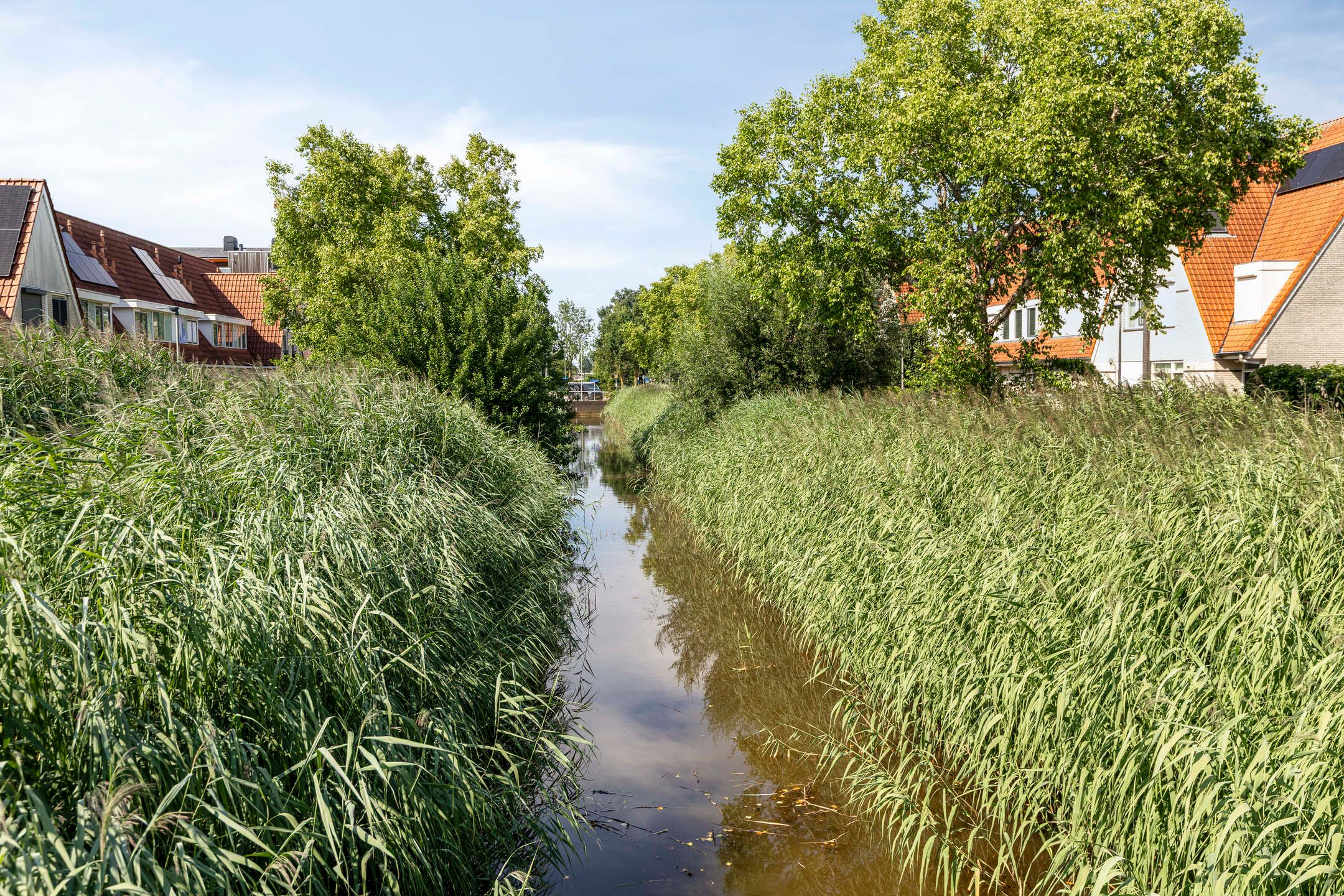 Foto 45 van Ruiterijweg 6
