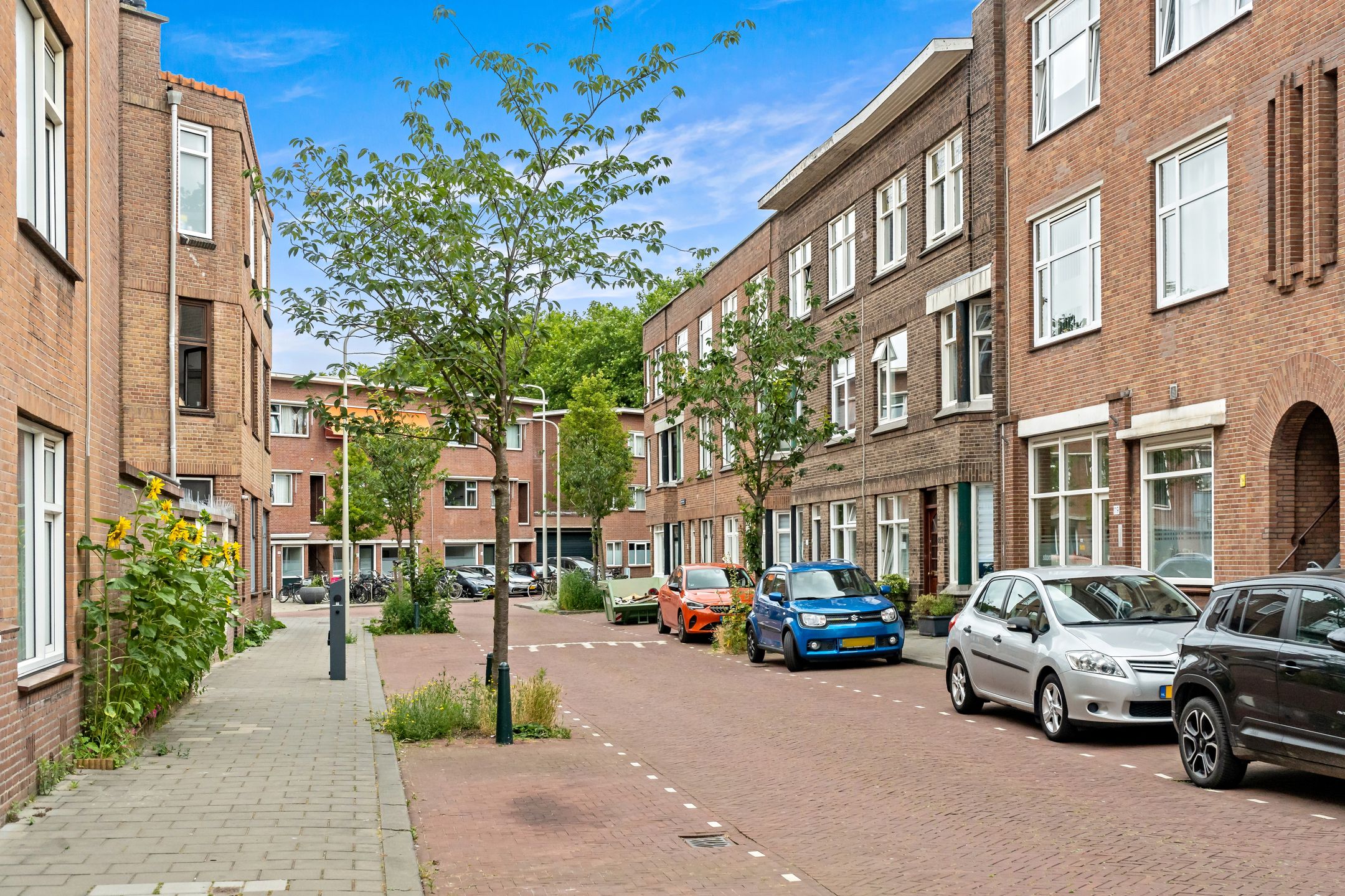 Foto 21 van Zwetstraat 42