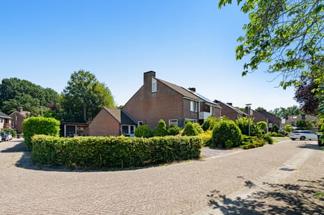 van Bothniaplantsoen thumbnail