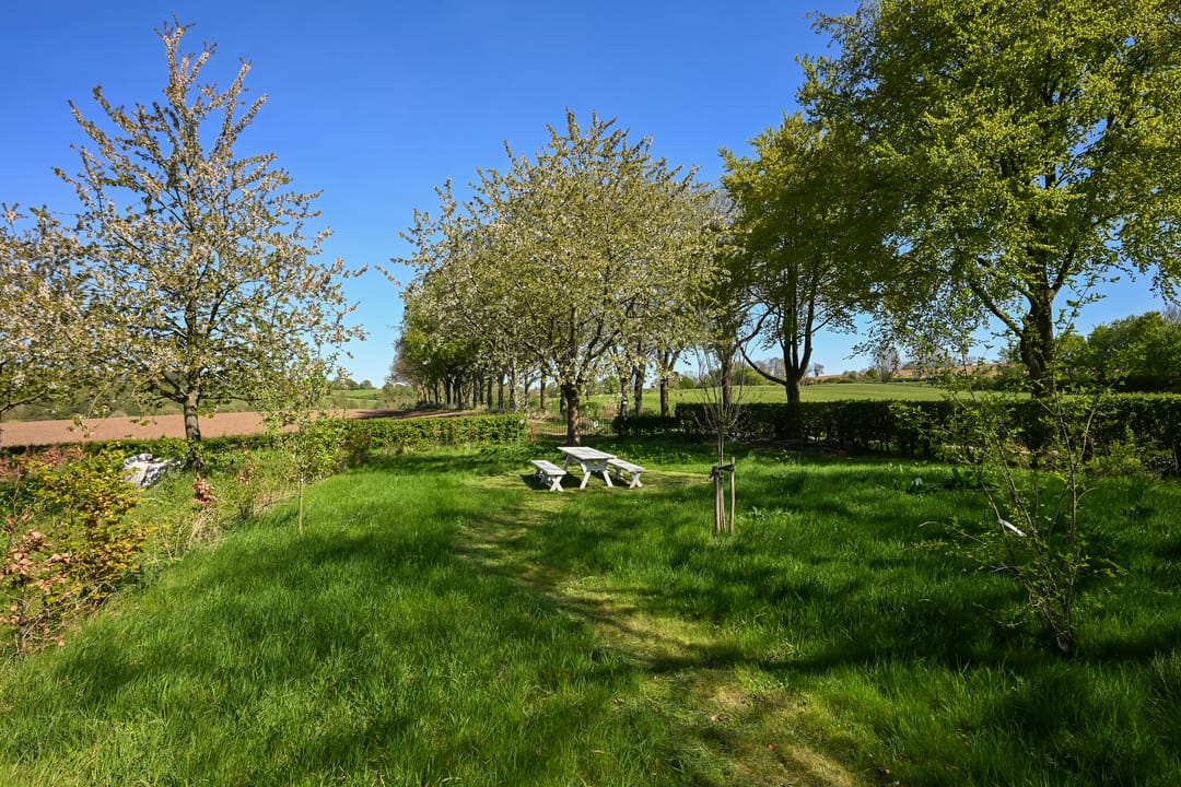 Foto 22 van Oude Baan 45-F