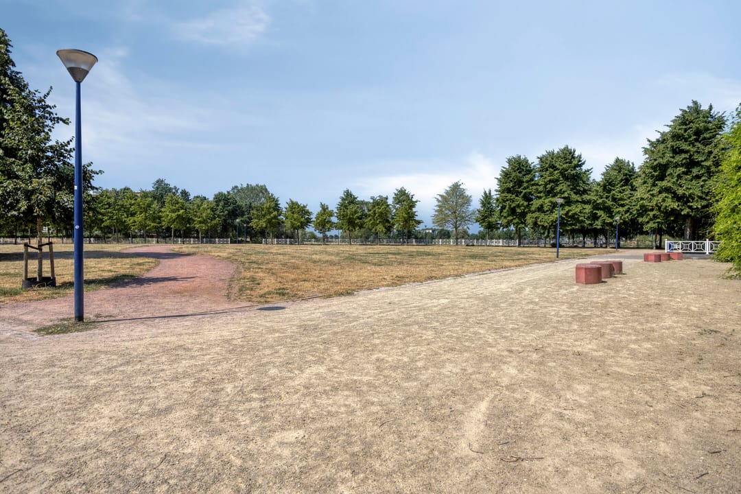 Foto 46 van Zuidsingel 54