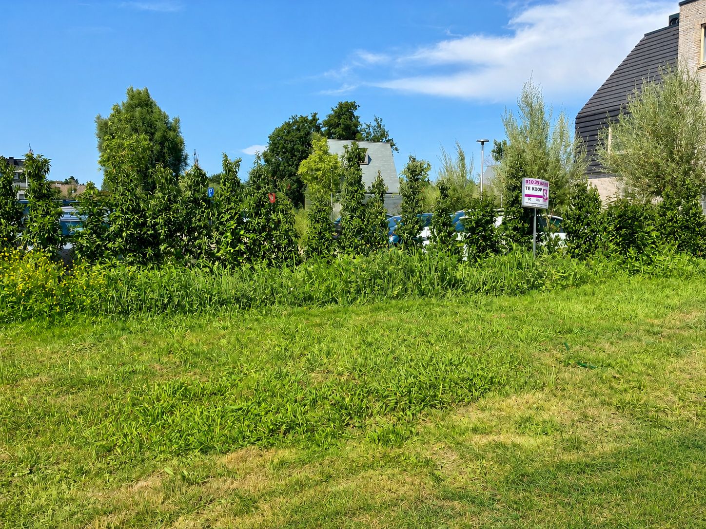 Photo 6 of Rietkraag 4