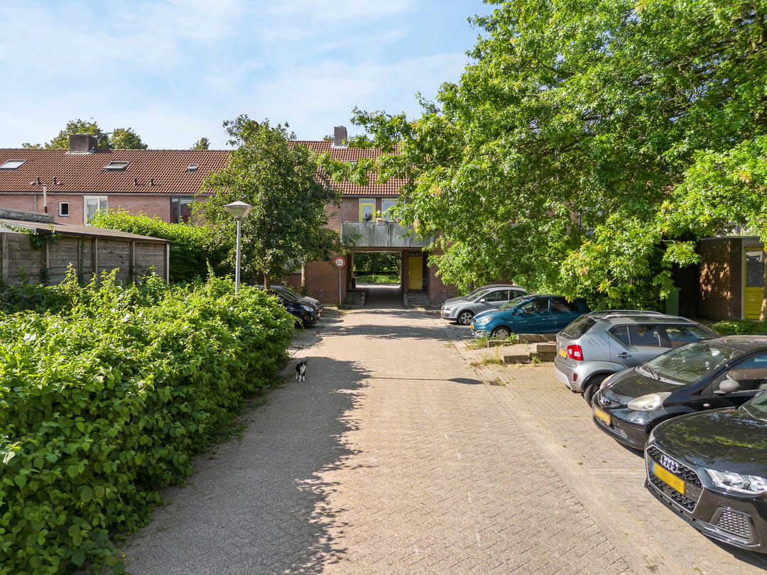 Photo 11 of Lijster 85