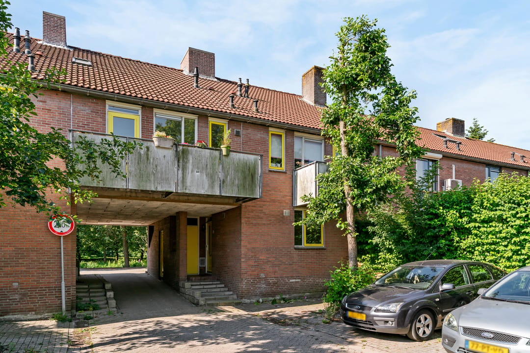 Photo 8 of Lijster 85