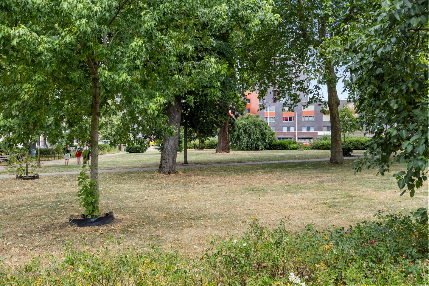 Photo 29 of Voorstadslaan 49-C