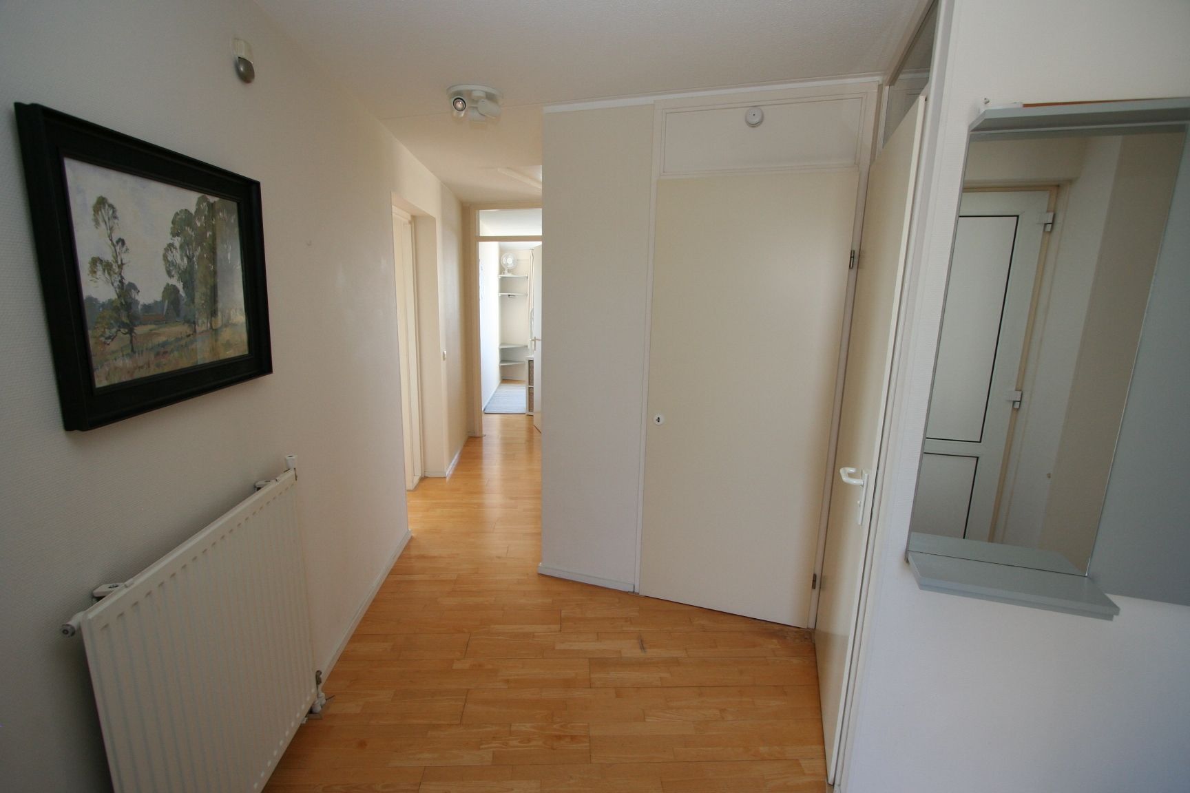 Foto 9 van Veneweg 294-14
