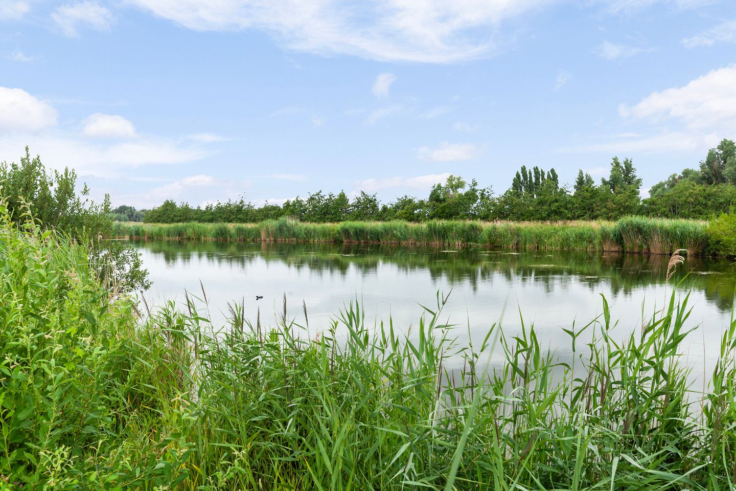 Photo 44 of Bolstraschans 27