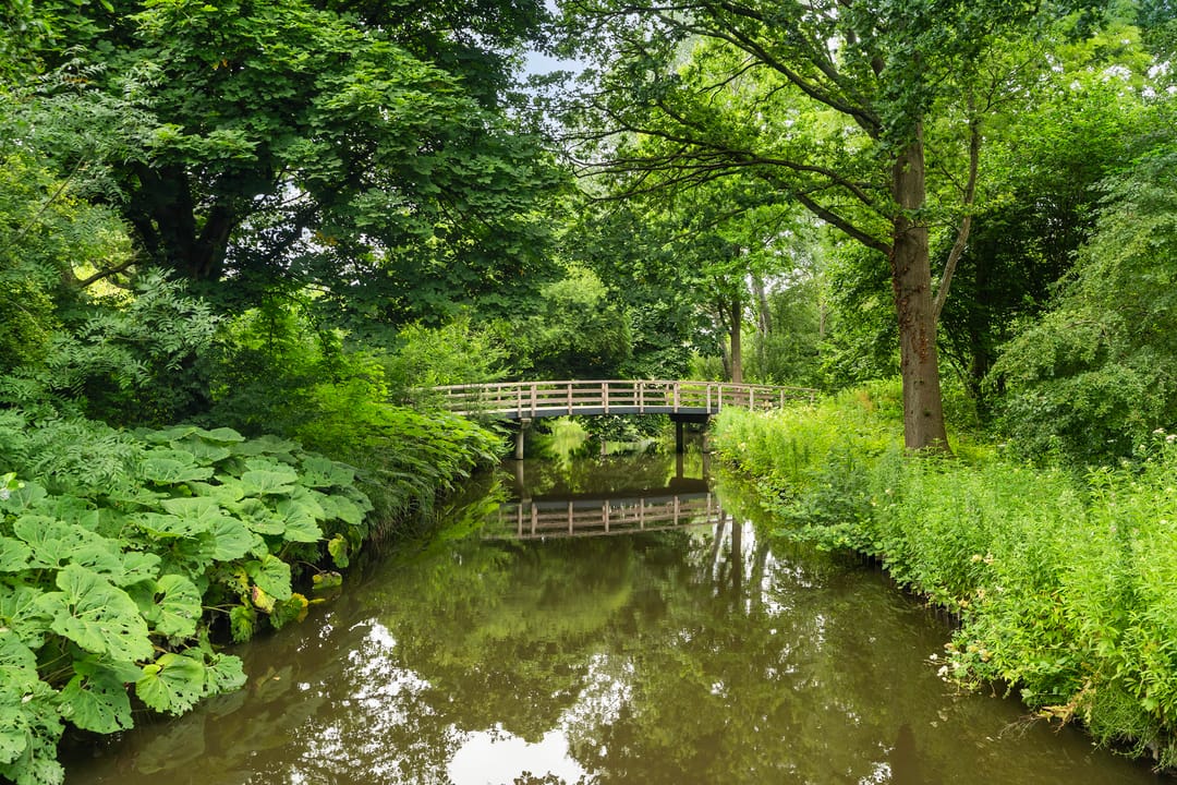 Photo 47 of Raaphorst 169