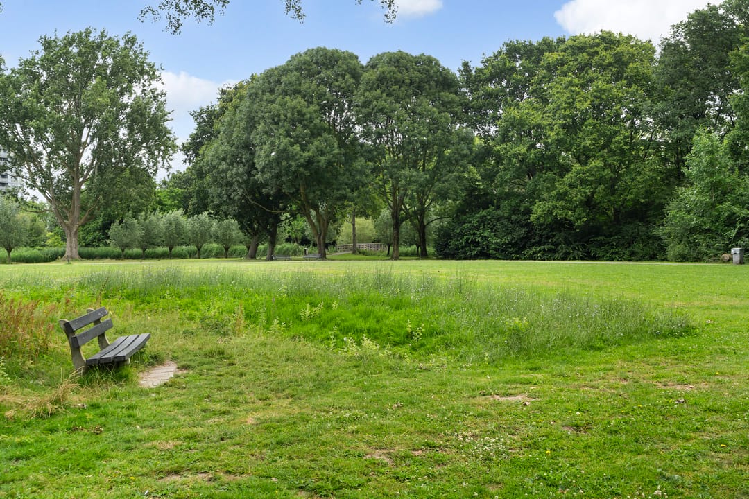 Photo 46 of Raaphorst 169