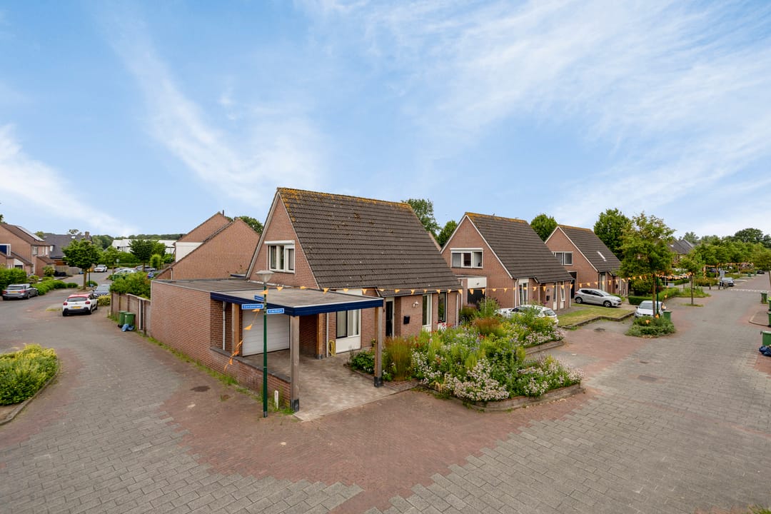 Foto 1 van Edelhert 1