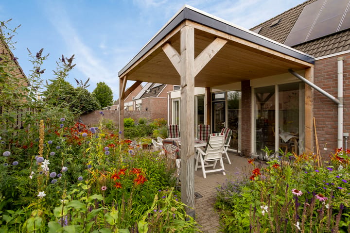 Foto 4 van Edelhert 1