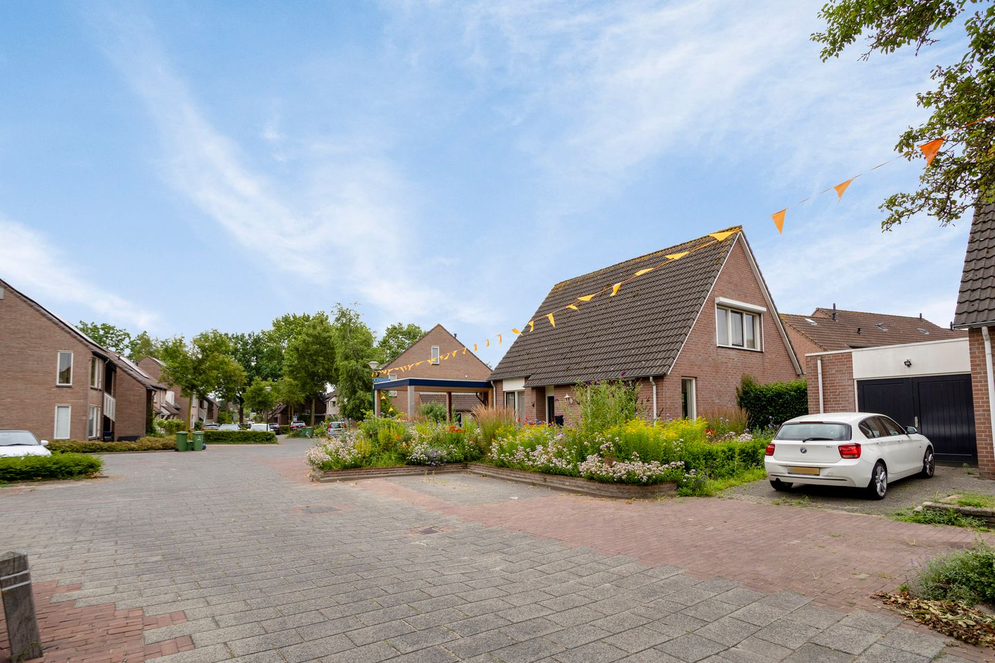 Foto 10 van Edelhert 1