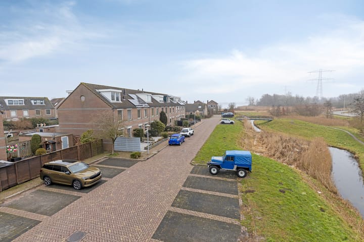 Foto 3 van Regenwulp 14