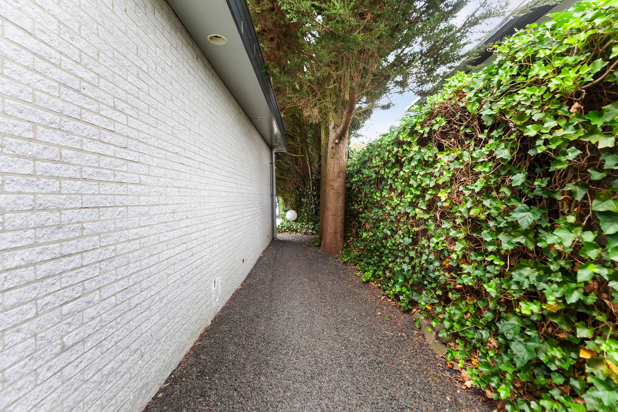 Foto 48 van Prins Alexanderlaan 10