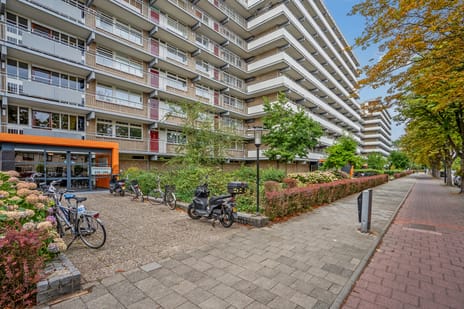 Steenvoordelaan thumbnail