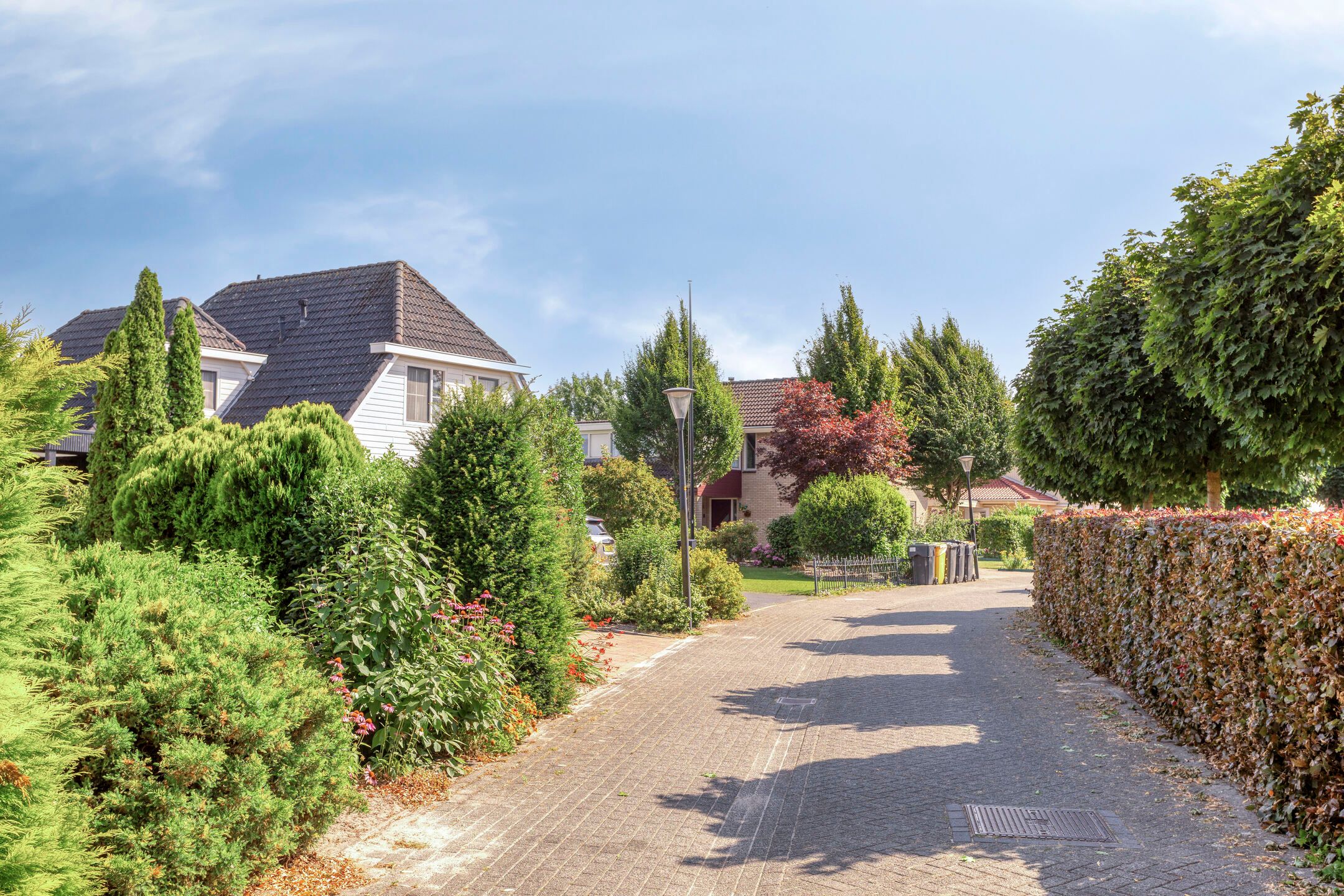 Foto 81 van Purperreiger 5