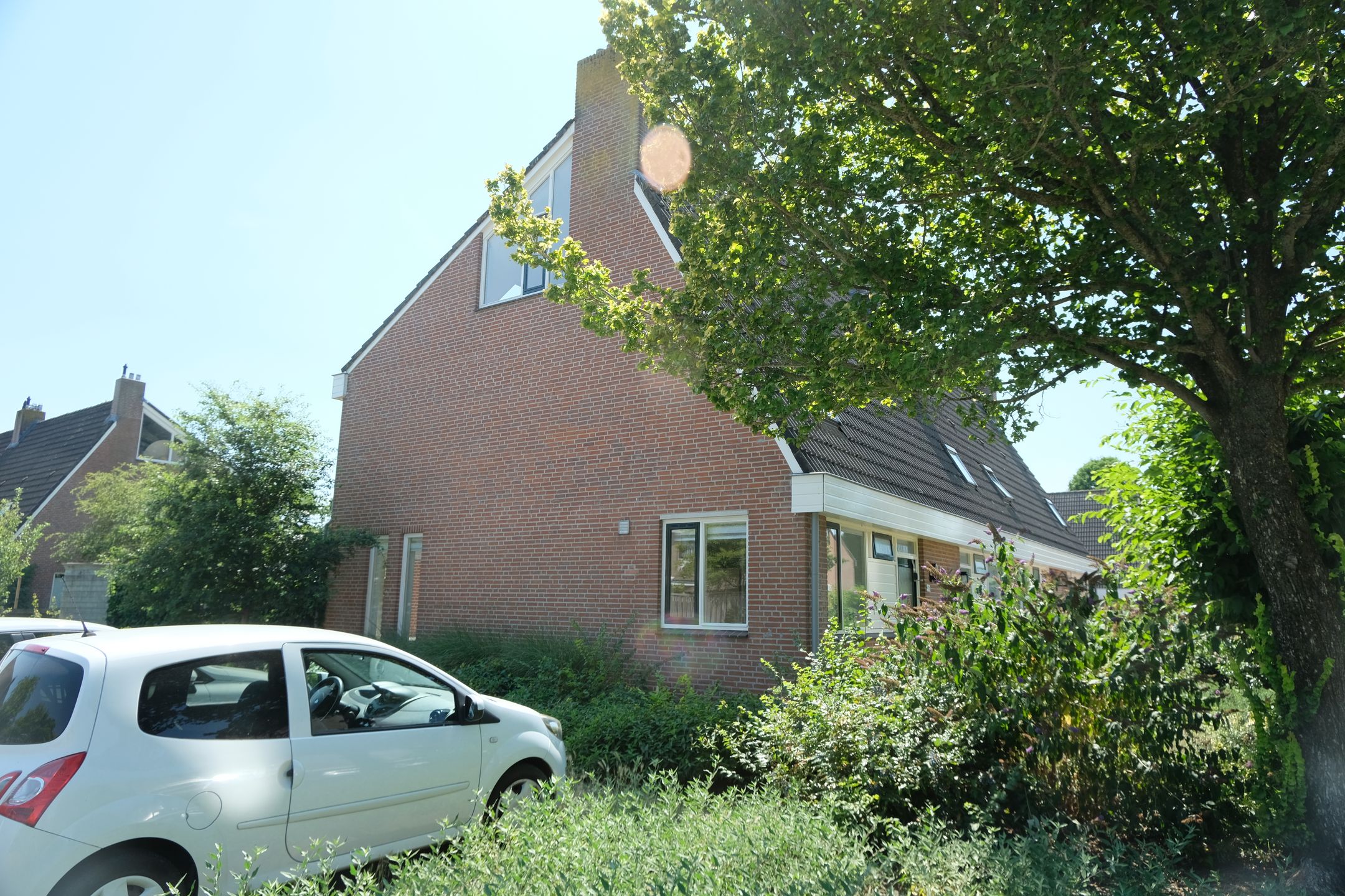Wilgenroos 31 