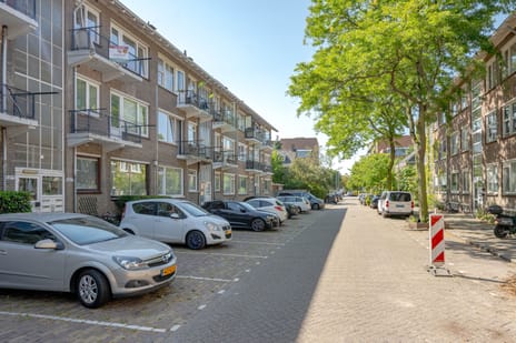 Fazantstraat thumbnail