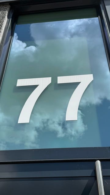 Bekijk foto 3 van Ecustraat 77