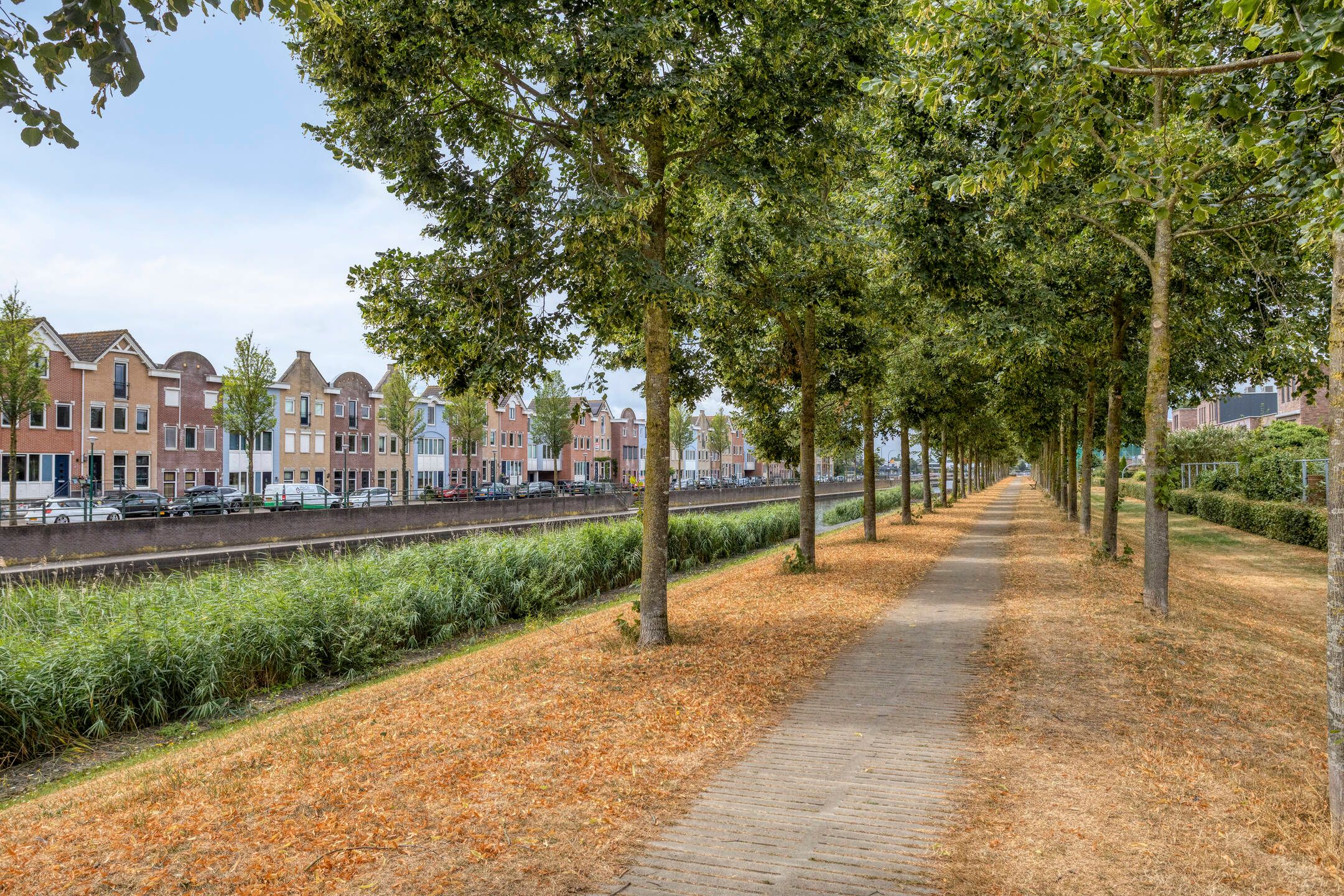 Photo 33 of Potbeker 51