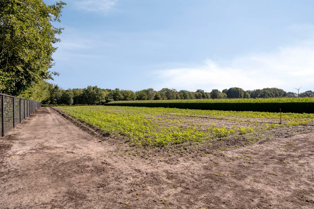 Foto 46 van Waaijenbergstraat 3