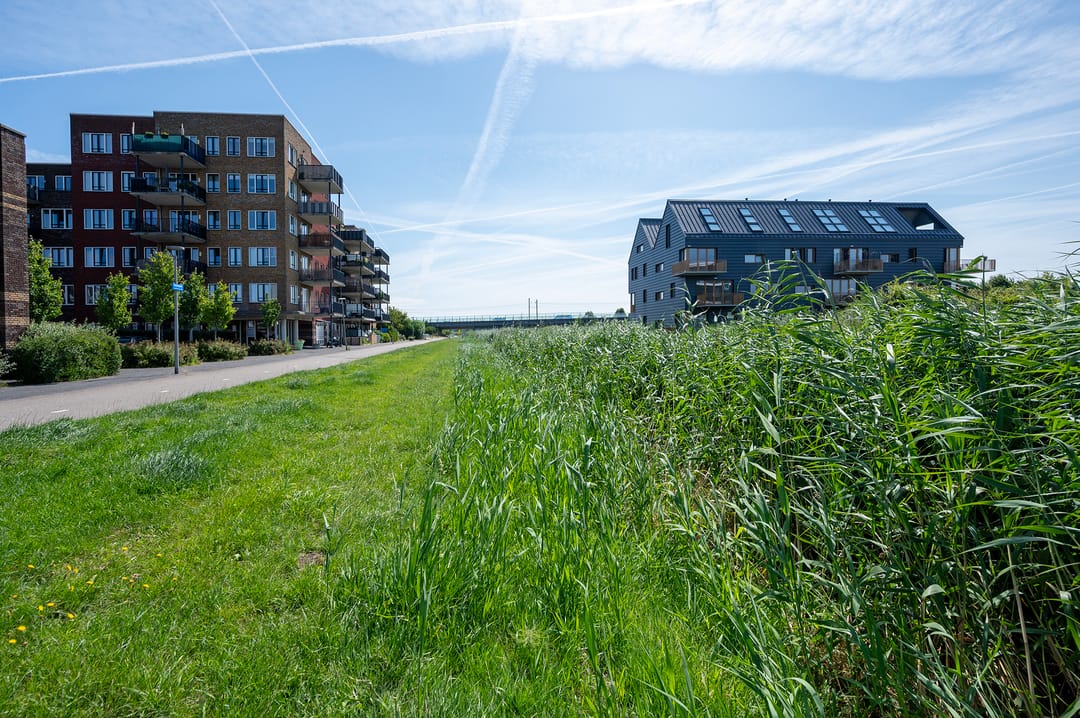 Photo 32 of Anubisstraat 212
