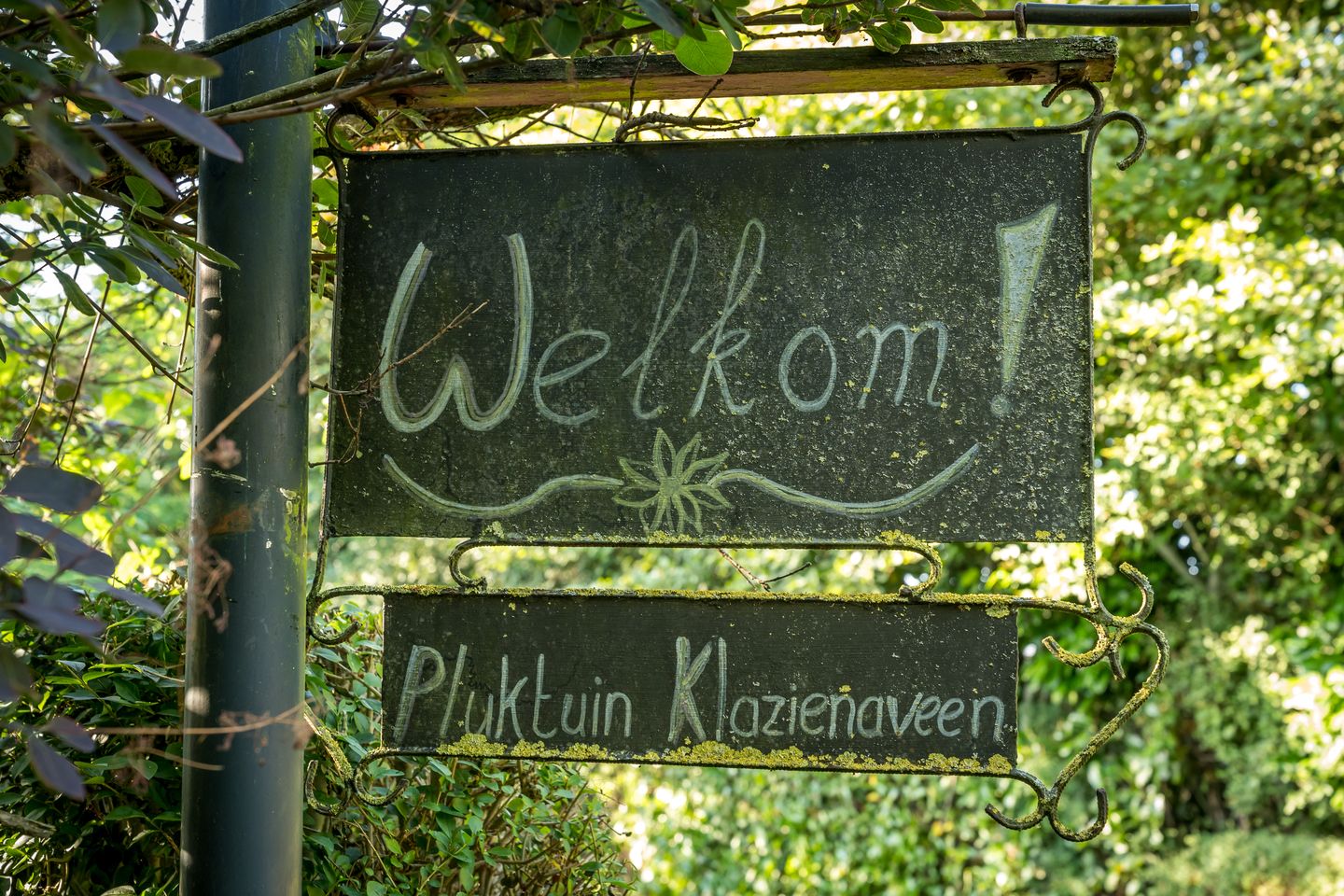 Derksweg - Klazienaveen - Afbeelding 6