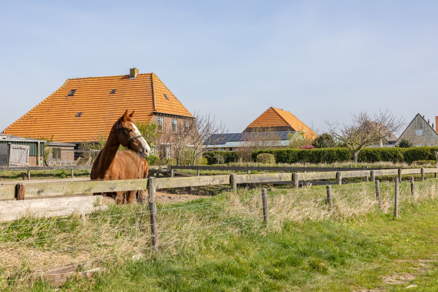 Foto 1 van Ongeren 15