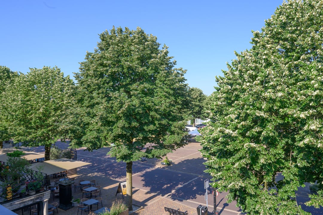 Photo 22 of Marktplein 17-B