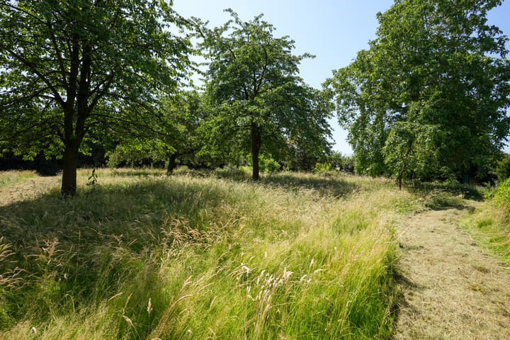 Foto 3 van Penderskoolhofweg 4