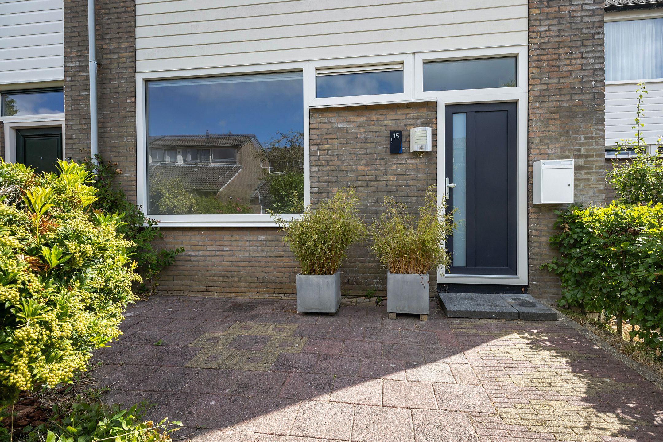 Photo 9 of Watermunt 15