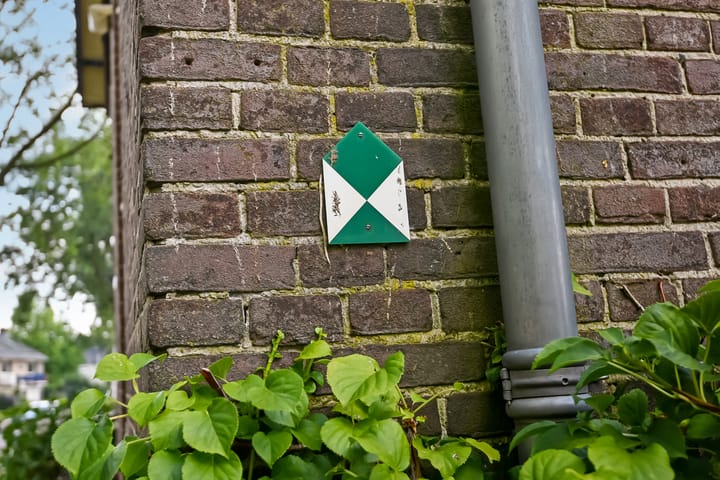Vrijstaande woning te koop: Grote Molenstraat 20, Elst (Ge)