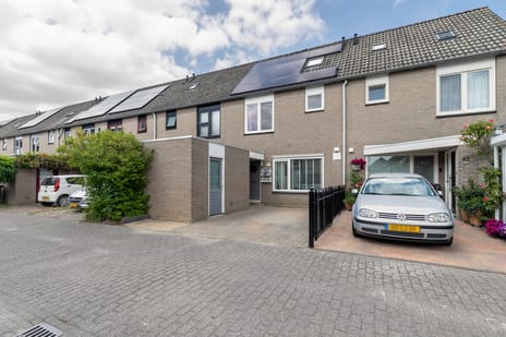 Dennenbroek thumbnail