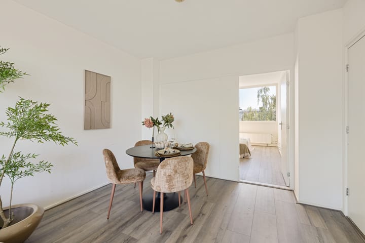 Appartement te koop: Rooseveltlaan 548, Utrecht