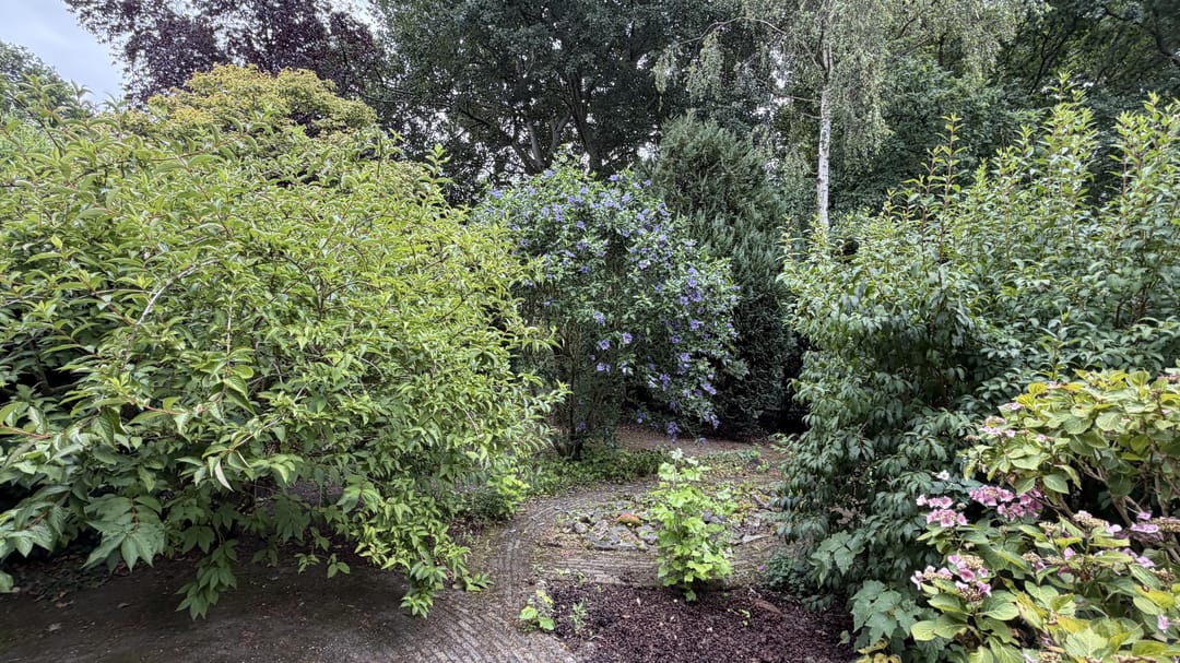Photo 16 of Eisenhowerlaan 18