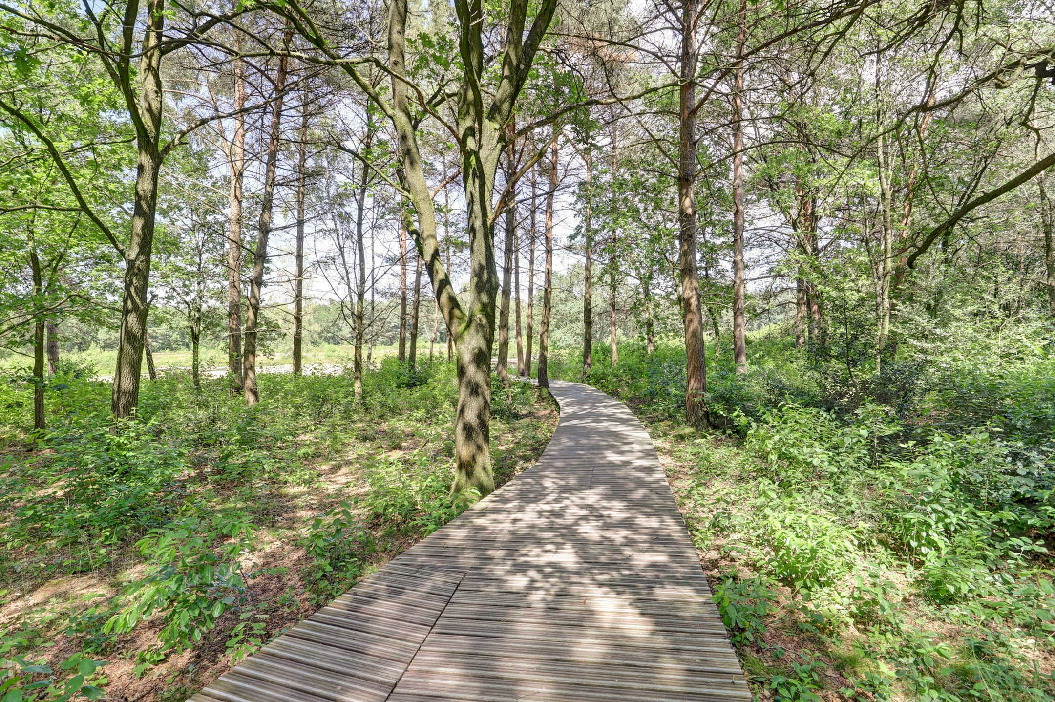 Foto 48 van Oude Garderenseweg 18-B31