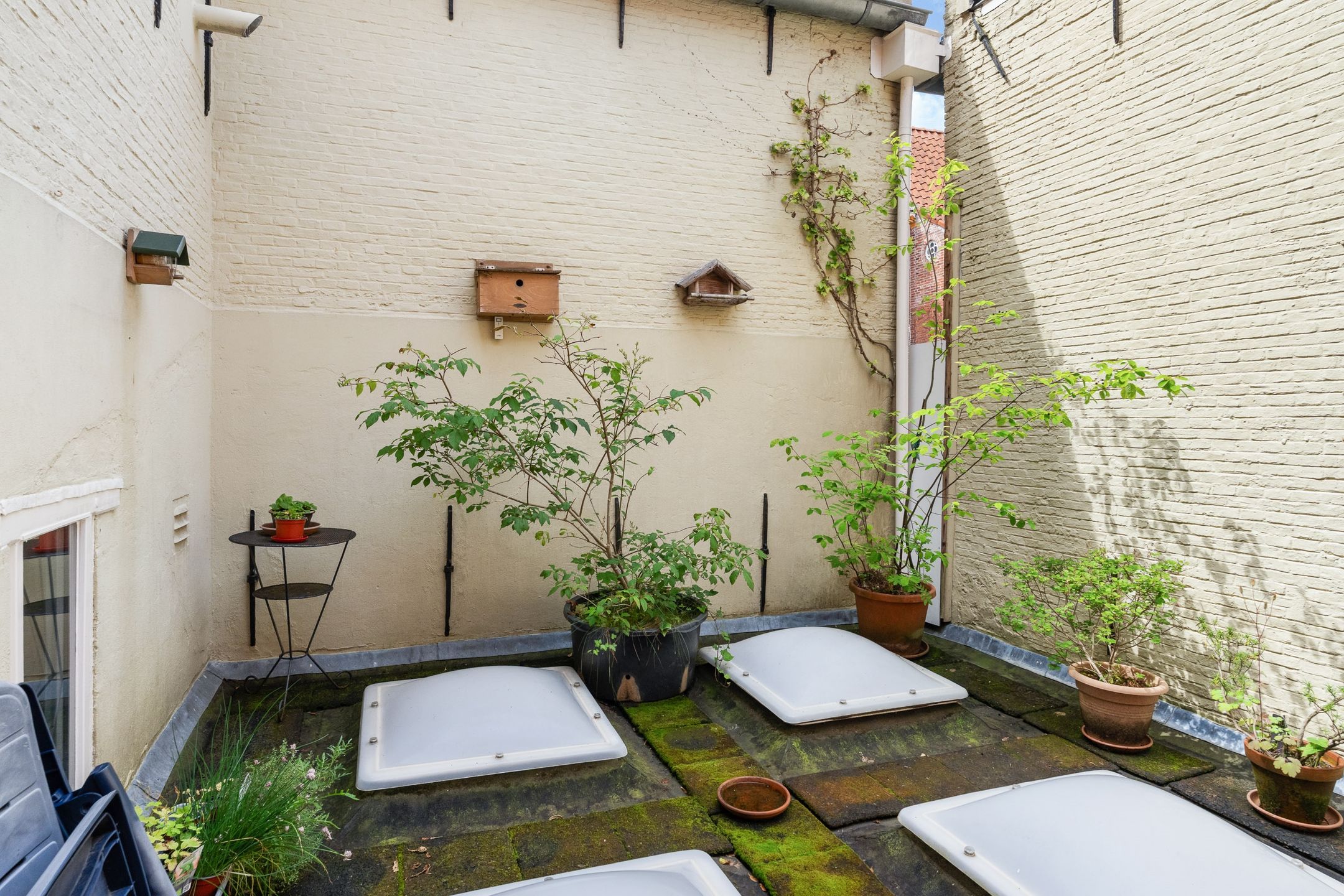 Photo 27 of Bagijnestraat 54