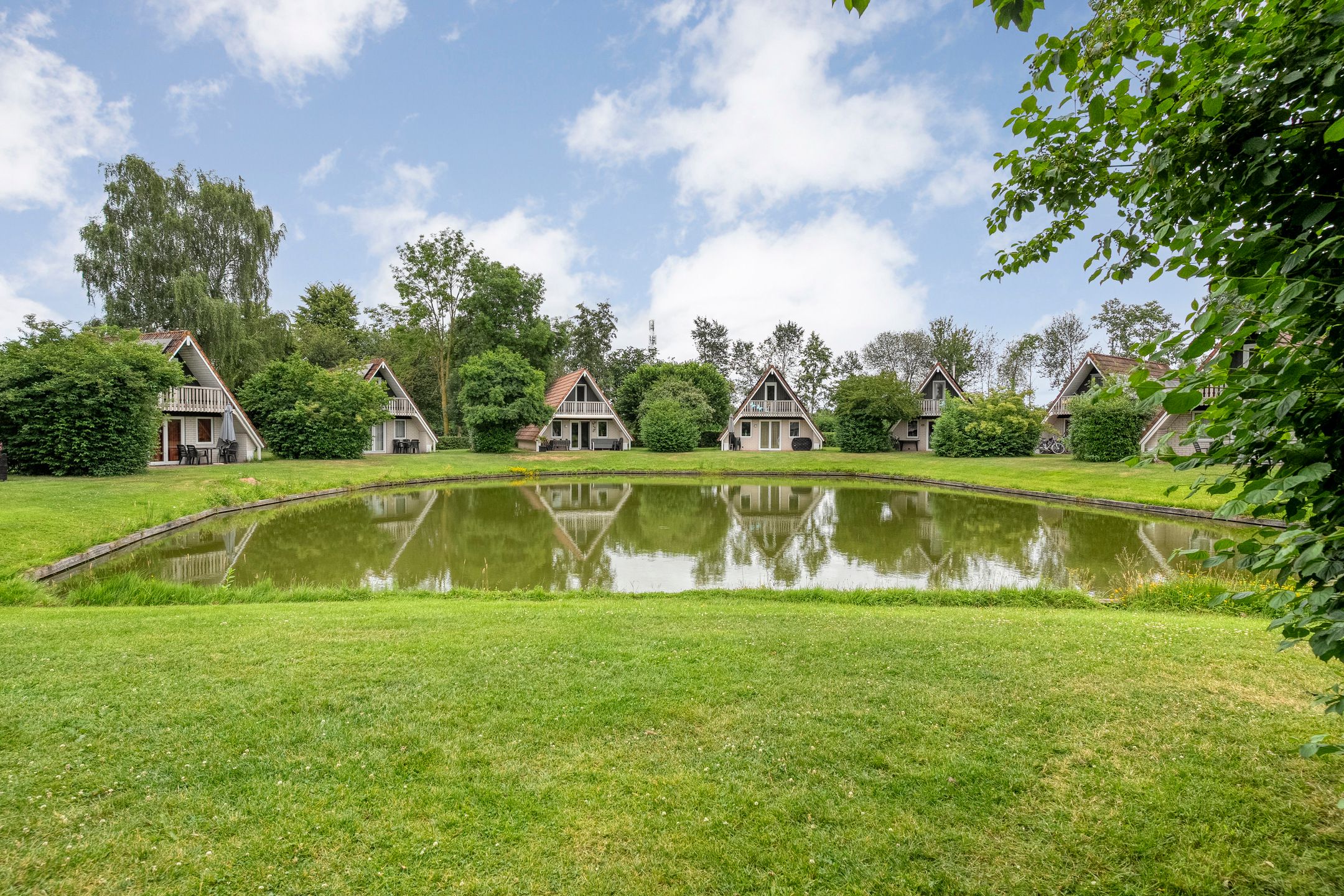 3-bedroom freehold villa in Gramsbergen — photo 4 of 5