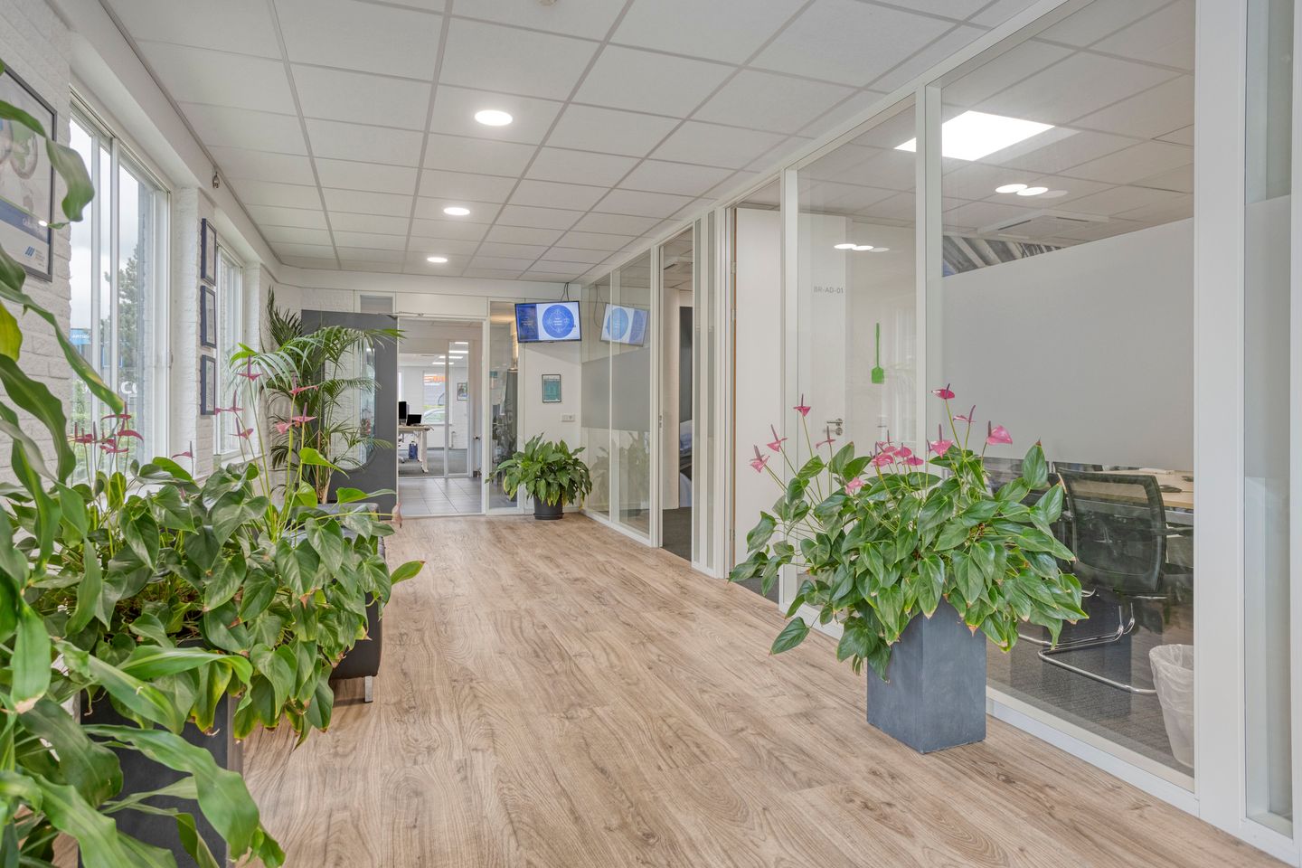 Bekijk foto 3 van Nikkelstraat 2