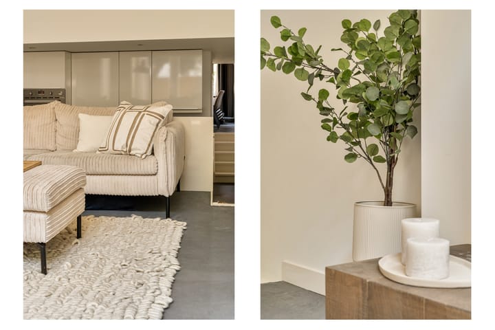 Appartement te koop: Brederodestraat 17A, Amsterdam